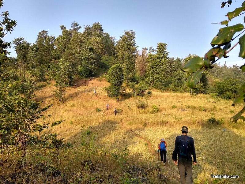 Songir (Nashik)